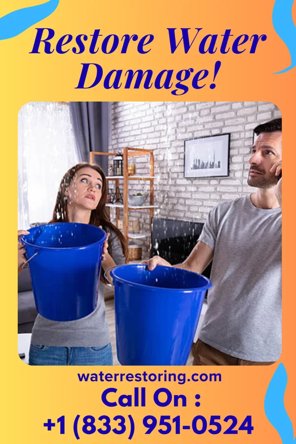 water restoration Allied Water Mitigation Network Clayton