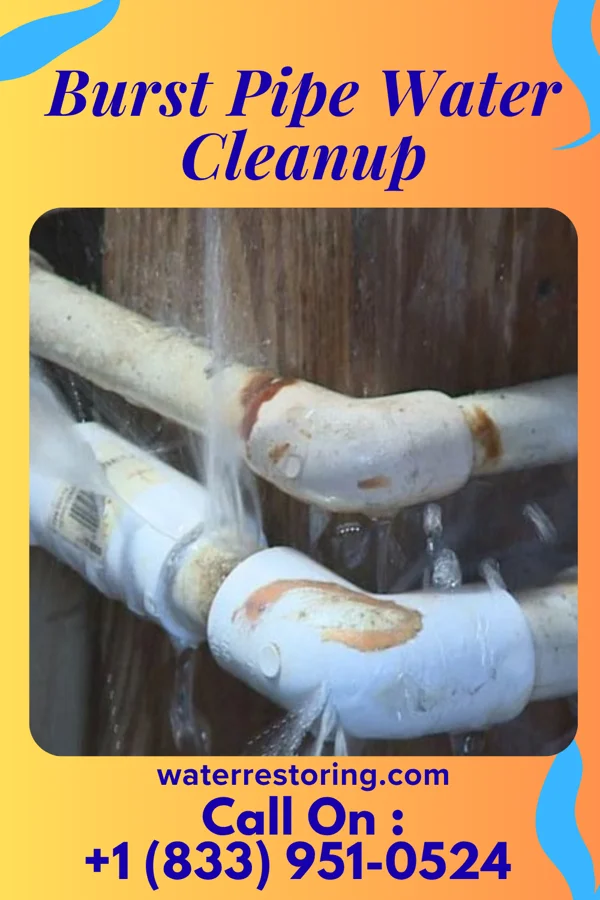 Burst Pipe Water Cleanup in Clayton, LA