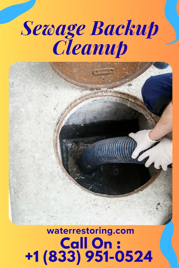 Sewage Backup Cleanup in Clayton, LA